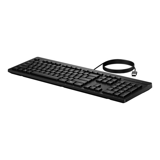 Клавиатура HP 125 Wired Keyboard (AY2Y7AA)