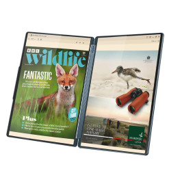 Лаптоп Lenovo Yoga Book 9, Intel Core Ultra 7 255H, 14 инча 2.8K OLED 500N 120Hz, 32GB DDR5x, 1TB SSD, Windows 11 Home, Tidal Teal