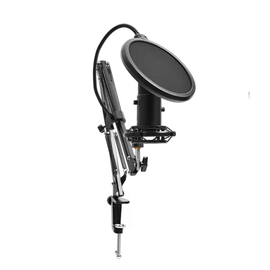 Микрофон LORGAR Voicer 931