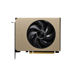 Видеокарта MSI NVIDIA GeForce RTX 5060 8G INSPIRE ITX OC, 8 GB GDDR7, 128-bit,  3840 CUDA ядра, HDMI 2.1b, Ray Tracing, Dual Fan