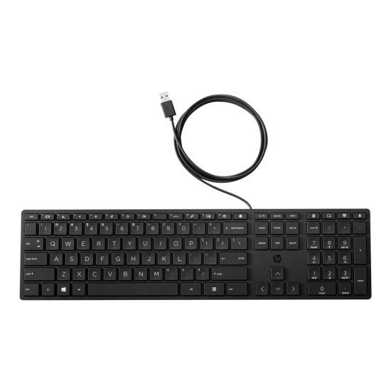 Клавиатура HP Wired Desktop 320K Keyboard (EN) Клавиатура HP Wired Desktop 320K Keyboard (EN)