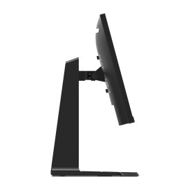 Монитор LENOVO R25i-30, 24.5 инча IPS WLED FHD, 2xHDMI 2.0, DP 1.4
