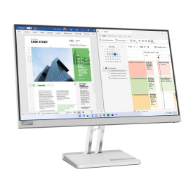 Монитор LENOVO L25e-40 24.5 inch FHD VA 250nits VESA HDMI VGA