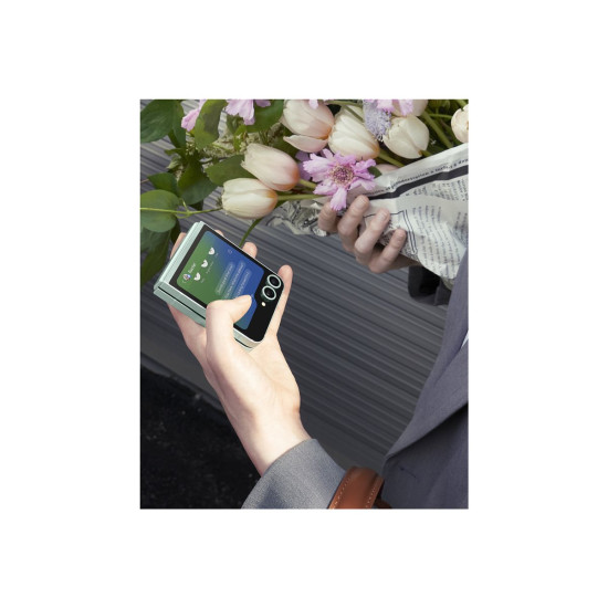 Смартфон SAMSUNG SM-F741B GALAXY Z Flip6 12GB 256GB Mint