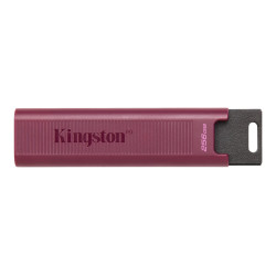 Флаш памет KINGSTON 256GB USB3.2 TypeA DataTraveler