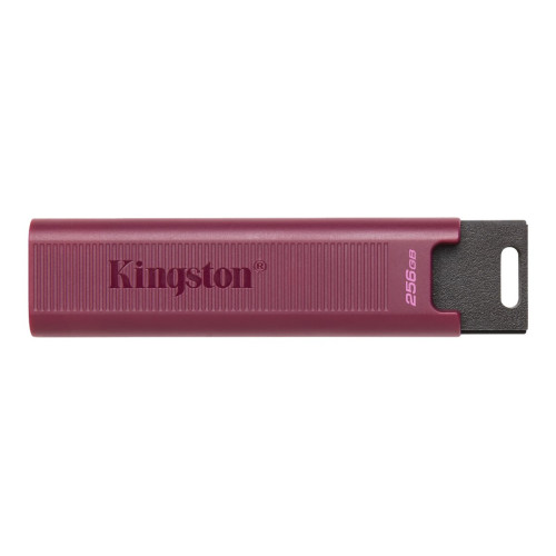 Флаш памет KINGSTON 256GB USB3.2 TypeA DataTraveler