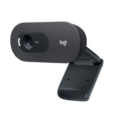 Уеб камера Logitech C505e Business, HD 720p, USB-A, Microphone