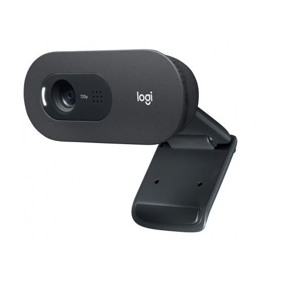 Уеб камера Logitech C505e Business, HD 720p, USB-A, Microphone