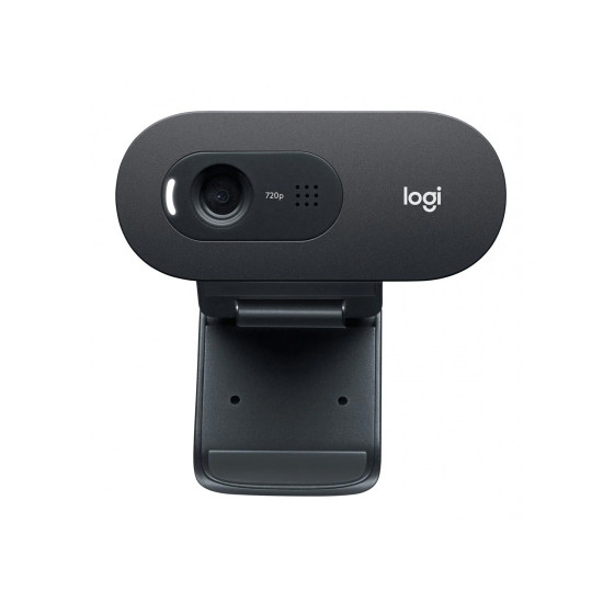 Уеб камера Logitech C505e Business, HD 720p, USB-A, Microphone