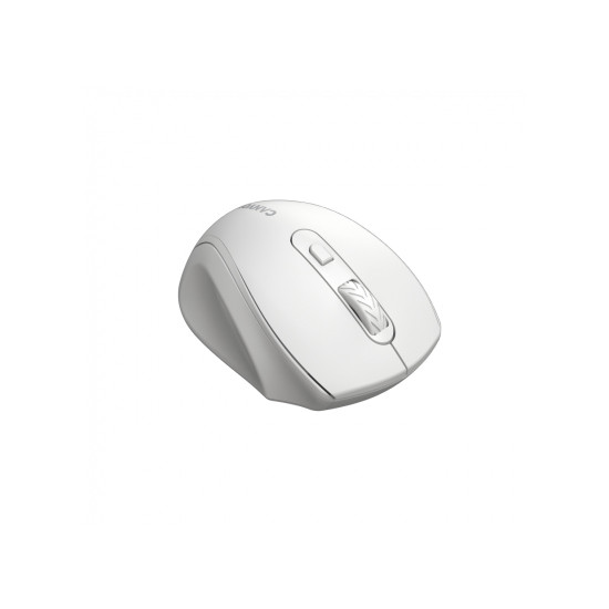 Безжична мишка Canyon CNE-CMSW20W, White