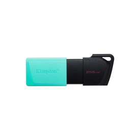 Флаш памет Kingston DataTraveler Exodia M, 256GB, USB 3.2 Gen 1