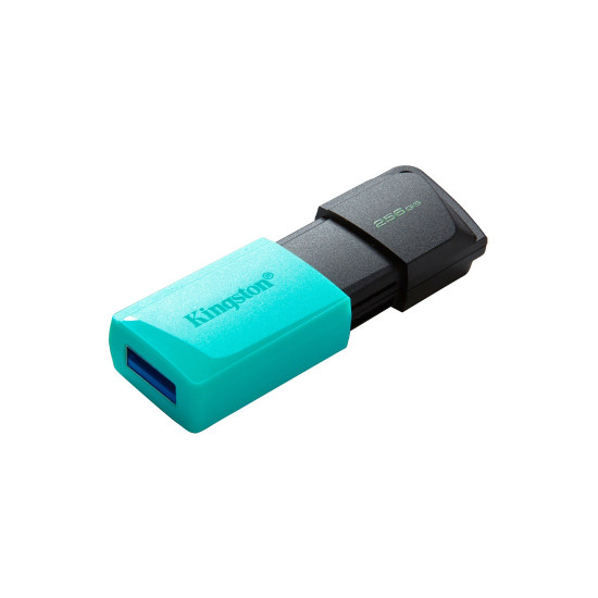 Флаш памет Kingston DataTraveler Exodia M, 256GB, USB 3.2 Gen 1