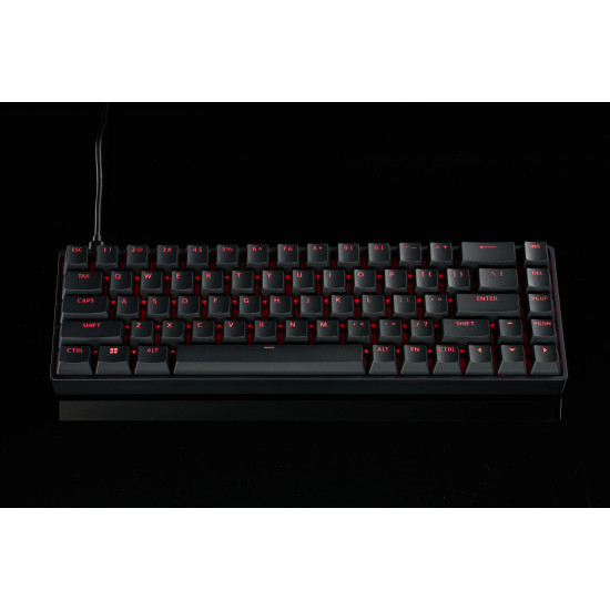 Клавиатура Madlions Professional Gaming Mechanical Keyboard FIRE 68 RGB - 8K, Gateron Dual-Rail Magnetic Switches [Linear], Black