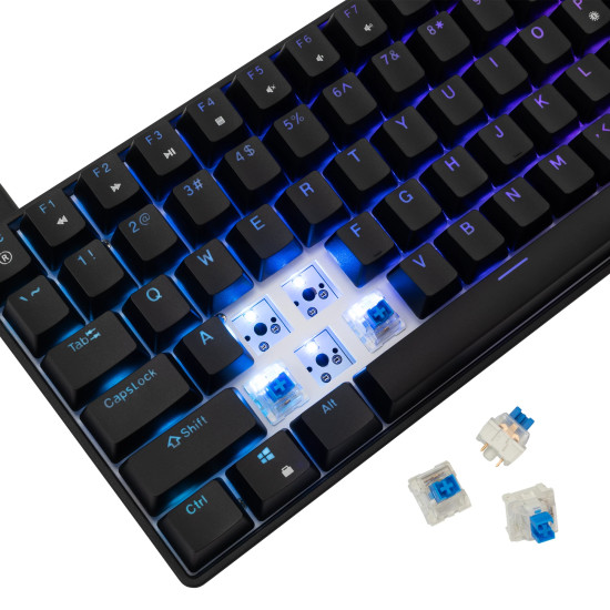 Клавиатура White Shark Gaming Mechanical Keyboard HAMACHI - YUSYA 5P Blue Switches (English US), Black