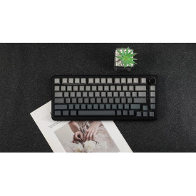 Безжична клавиатура Ajazz Wireless Gaming Mechanical Keyboard AK820 MAX - White birch [Linear] (English US), Side Printed, Gray