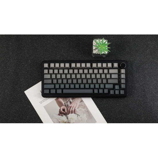 Безжична клавиатура Ajazz Wireless Gaming Mechanical Keyboard AK820 MAX - White birch [Linear] (English US), Side Printed, Gray