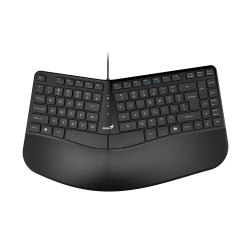 Клавиатура Genius Ergo KB-700, Ergonomic, USB, Split Wave Design, With Palm Rest, Black