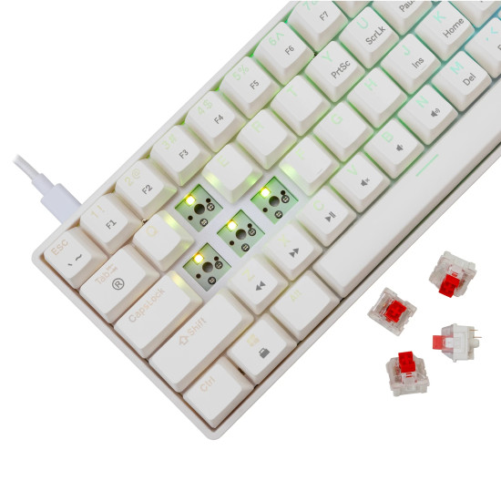 Клавиатура White Shark Gaming Mechanical Keyboard SHINOBI 2 - YUSYA 5P Red Switches (English US), White