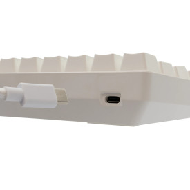 Клавиатура White Shark Gaming Mechanical Keyboard SHINOBI 2 - YUSYA 5P Red Switches (English US), White