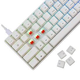 Клавиатура White Shark Gaming Mechanical Keyboard SHINOBI 2 - YUSYA 5P Red Switches (English US), White