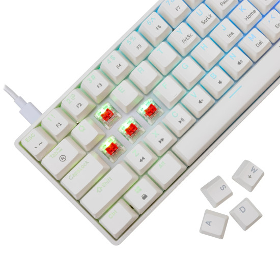 Клавиатура White Shark Gaming Mechanical Keyboard SHINOBI 2 - YUSYA 5P Red Switches (English US), White