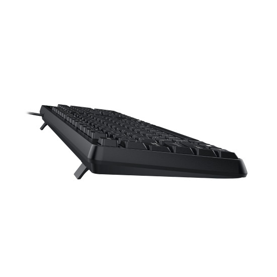 Клавиатура Genius Smart Keyboard KB-117 Black - AI, BG Layout, USB