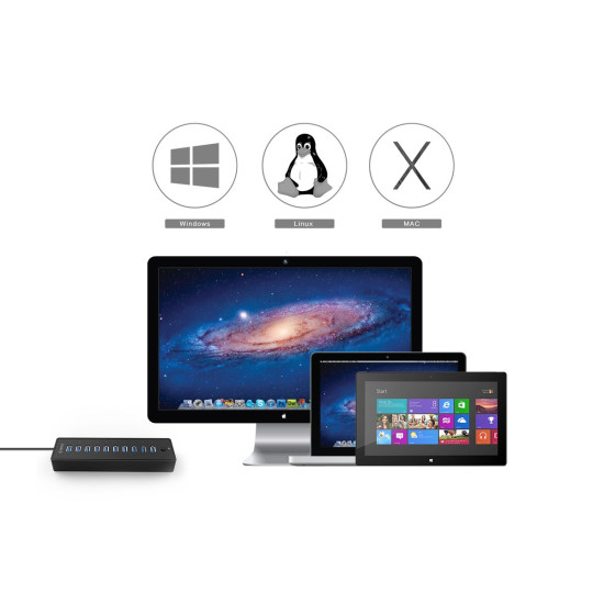 USB хъб Orico USB3.0 HUB 10 port with Premium Power Adapter, Black - P10-U3-V1-BK