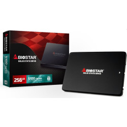 Вътрешен SSD диск Biostar S100, 256GB, SATA3