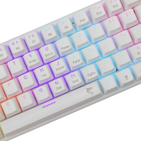 Клавиатура White Shark Gaming Mechanical Keyboard WAKIZASHI 2 - Blue Switches (English US), White