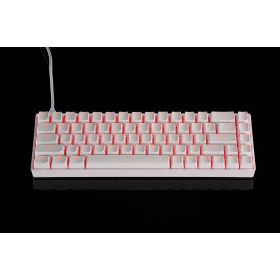 Клавиатура Madlions Professional Gaming Mechanical Keyboard FIRE 68 RGB - 8K, Gateron Dual-Rail Magnetic Switches [Linear], White