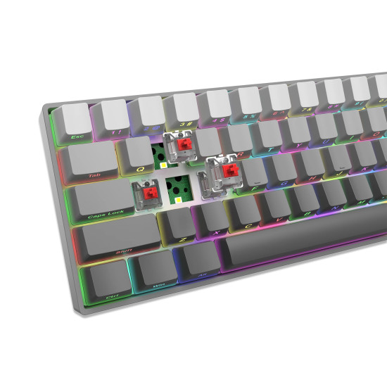 Клавиатура White Shark Gaming Mechanical Keyboard NUNCHAKU - Red Switches (English US), Grey
