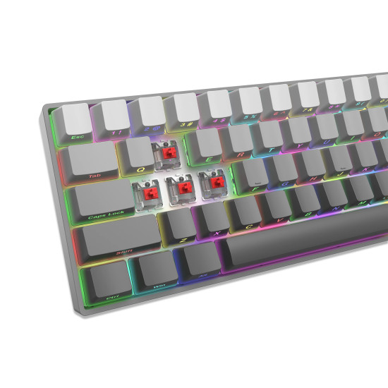 Клавиатура White Shark Gaming Mechanical Keyboard NUNCHAKU - Red Switches (English US), Grey