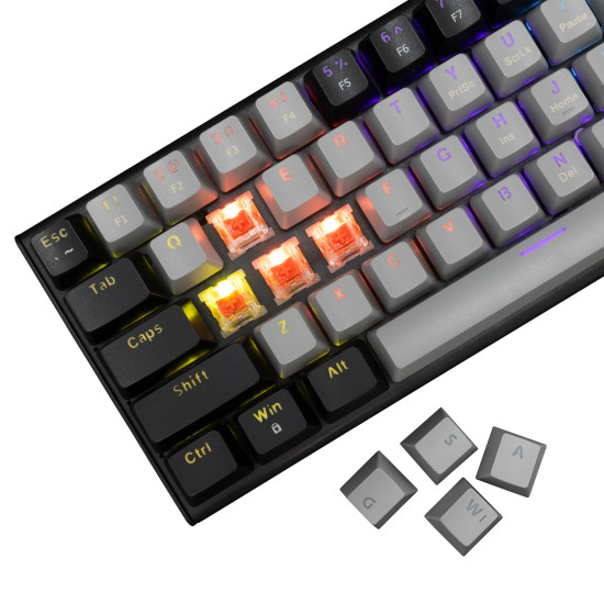 Клавиатура White Shark Gaming Mechanical Keyboard WAKIZASHI 2 - Red Switches (English US), Gray, Black