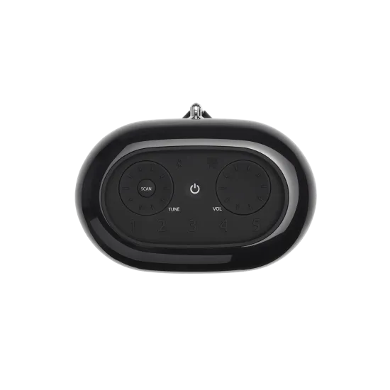 Преносима тонколона JBL Tuner XL, 10W, Bluetooth, Black