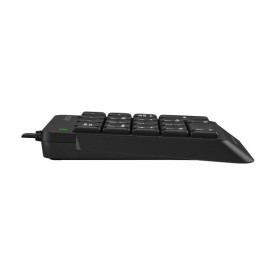 Клавиатура A4Tech FK13P, USB, Black