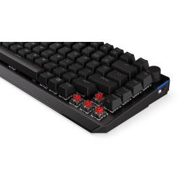 Безжична клавиатура ENDORFY Thock 75, Kailh Red Switch, RGB, Bluetooth, Black