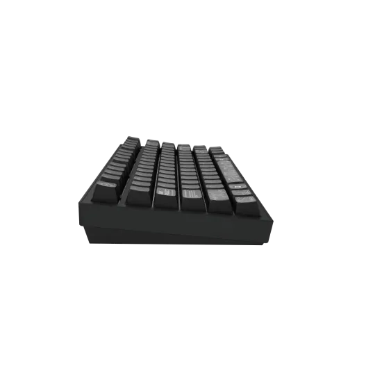 Безжична клавиатура Dark Project ALU81A Terra Nova V2, RGB, Black
