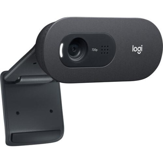 Уеб камера LOGITECH C505, HD, USB, Mic