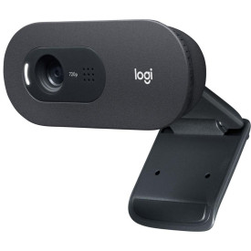 Уеб камера LOGITECH C505, HD, USB, Mic