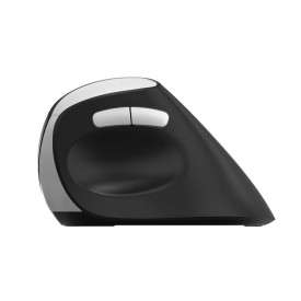 Безжична мишка RAPOO EV250, Black