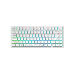 Безжична клавиатура Dark Project ALU81A Terra Nova, White, RGB