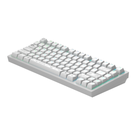 Безжична клавиатура Dark Project ALU81A Terra Nova, White, RGB