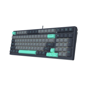 Клавиатура A4Tech Fstyler FGS300 Panda Rock TKL, кирилизирана
