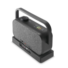 Преносима тонколона HAMA, 10W, 2.4GHz, Bluetooth, докинг станция, Black (HAMA-221849)
