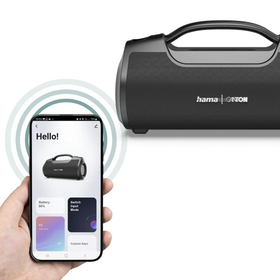 Преносима тонколона HAMA x Canton Mate Pro MK II, Bluetooth, 60W, IPX6, Black (HAMA-188231)