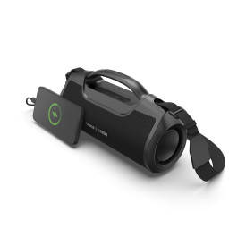 Преносима тонколона HAMA x Canton Mate Pro MK II, Bluetooth, 60W, IPX6, Black (HAMA-188231)