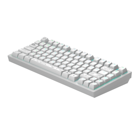 Безжична клавиатура Dark Project ALU81A Terra Nova R2, RGB, White
