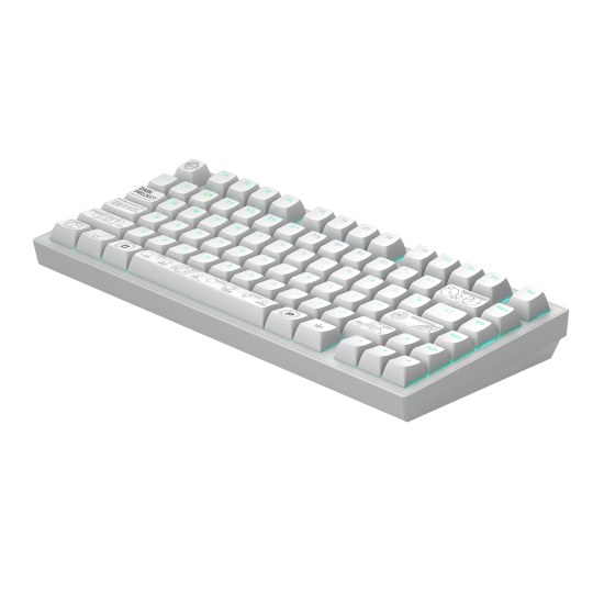 Безжична клавиатура Dark Project ALU81A Terra Nova R2, RGB, White