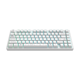 Безжична клавиатура Dark Project ALU81A Terra Nova R2, RGB, White