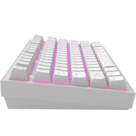 Клавиатура Dark Project ALU81A Terra Nostra, White, RGB